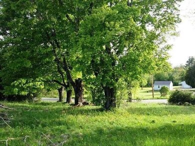 Yard/Garden.