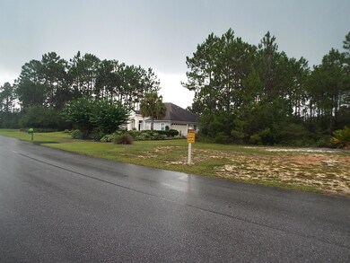 Windswept Estates 003