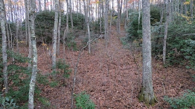 Lt 7 Buck Knob, Cullowhee, NC 28723 - photo 5