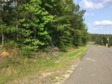 0 Stanley Rd unit SWL24003947, Leesville, LA 71446 - photo 6