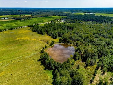 000 Gillham Rd, Beebe, AR 72012 - photo 3