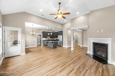 02-492-Co-Rd-550-207-Englewood-TN-2