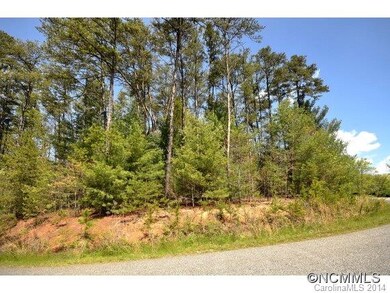 50 Cane Brook Dr unit 10, Leicester, NC 28748 - photo 3