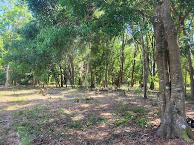 2514 Eisenhower St, Inverness, FL 34453 - photo 6