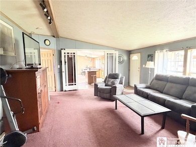 3200 Clymer Sherman Rd, Sherman, NY 14781 - photo 5