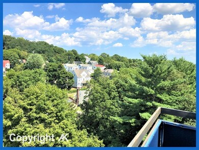 32 Whites Ave unit F8802, Watertown, MA 02472 - photo 5