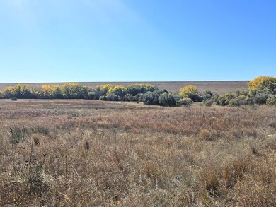 101 Halligan Dr, Whitetail Precinct, NE 69153 - photo 6