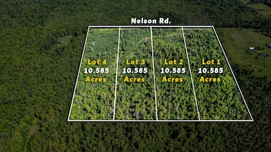 1-DJI_0051_Lot Lines