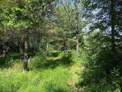 Land/Lot.