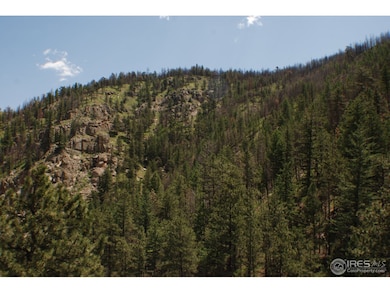 Great views of the canyon