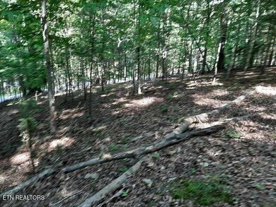 0 Deer Pond Cir unit 1281469, Lafollette, TN 37766 - photo 2