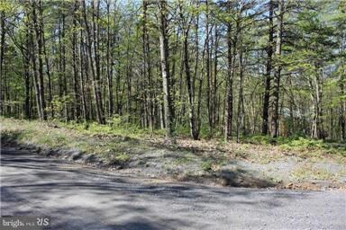 0 Whipporwill Rd unit 1004452001, Basye, VA 22810 - photo 2