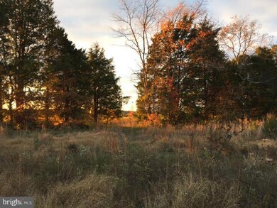 12430 Bristow Ridge Ln, Nokesville, VA 20181 - photo 4