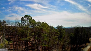 0 Rushing Water Trail unit 10465145, Rising Fawn, GA 30738 - photo 6