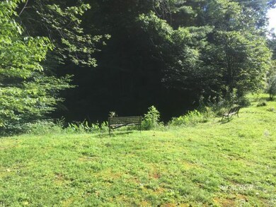 Pond