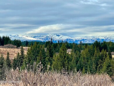 Snow capped peaks