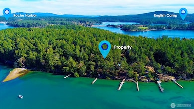 0 Lot 25 Henry Island unit NWM2446457, Friday Harbor, WA 98250 - photo 3