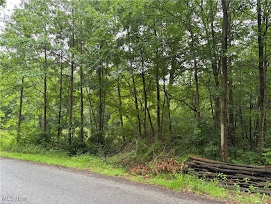 2077 Coleman Ave, Akron, OH 44312 - photo 5