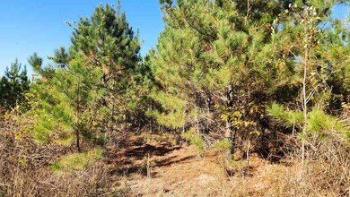 Dyerock Rd, Donaldson, AR 72104 - photo 4