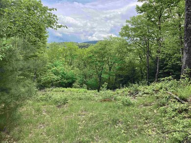 Lot 1 Pegwood Rd, Campton, NH 03223 - photo 4