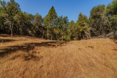 18862 American Flat Rd, Fiddletown, CA 95629 - photo 6