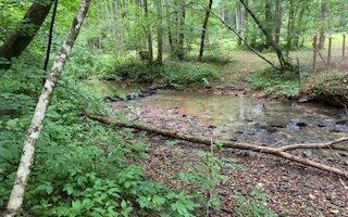 00 Cajun Ln - Lot 232, Ellijay, GA 30540 - photo 4