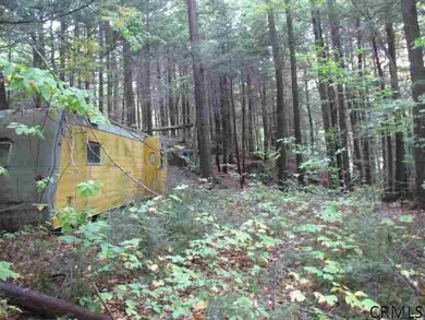 57 Horse Hill Rd, Hadley, NY 12835 - photo 6