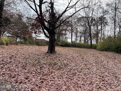 308 Branner St, Morristown, TN 37814 - photo 2