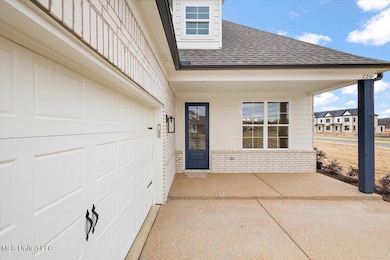 726 Coahoma Ct, Nesbit, MS 38651 - photo 5