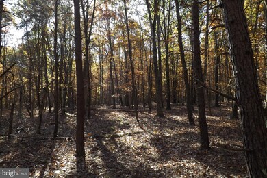 10 S Branch Rd, Levels, WV 25431 - photo 7