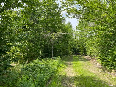 IMG_3905