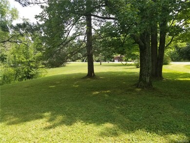 WHAT A YARD!