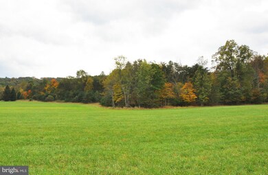 0 McCubbins Hollow Rd unit 1000569459, Glengary, WV 25421 - photo 5