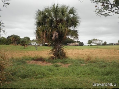 0 Del Sol Dr, Merritt Island, FL 32952 - photo 2