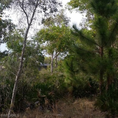 11911 Oakland Dr, Pine Island Center, FL 33922 - photo 3