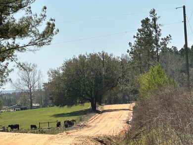 Tract#6410 Davidson Road S - W5 unit 286 +/- AC, Bonifay, FL 32425 - photo 2