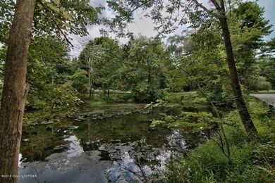 Fishing Pond
