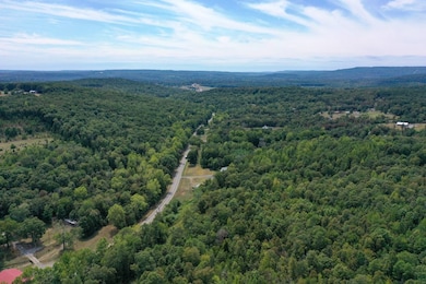 000 Highway 16 E, Clinton, AR 72031 - photo 7