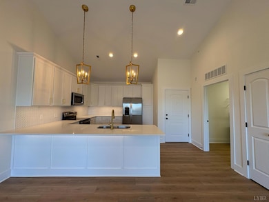 420 Capstone Dr unit 306, Lynchburg, VA 24502 - photo 3