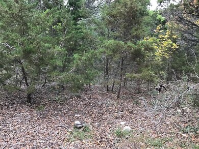 41063 Heartwood Cir, Whitney, TX 76692 - photo 6