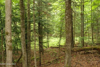 00 State Route 28, Johnsburg, NY - photo 5