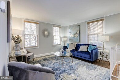 2727 Ordway St NW unit 1, Washington, DC 20008 - photo 4