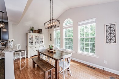 7431 Wild Senna Terrace, Moseley, VA 23120 - photo 7