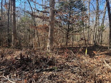 L32 Ted Logsdon Rd, Clarkson, KY 42726 - photo 5