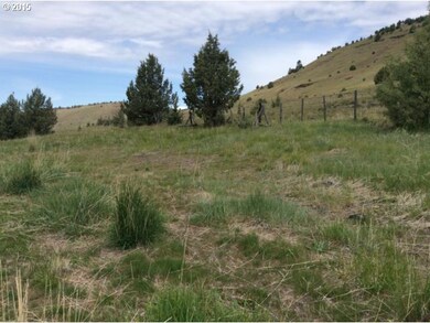 0 Keeney Forks Rd, Long Creek, OR 97856 - photo 4