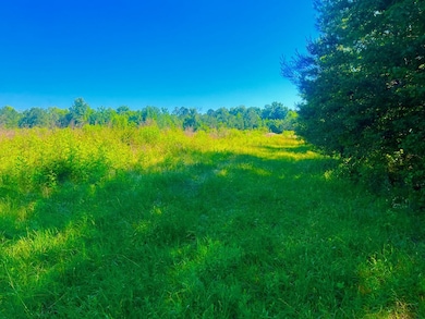 TBD Lewis Ln, Gloster, MS 39638 - photo 5