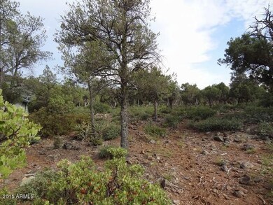 807 E Phoenix St unit 50, Payson, AZ 85541 - photo 3