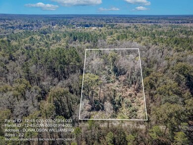 TBD Donaldson-Williams Rd, Crawfordville, FL 32327 - photo 5