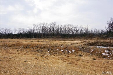 0 McCutchen unit MIS25079909, Rolla, MO 65401 - photo 4