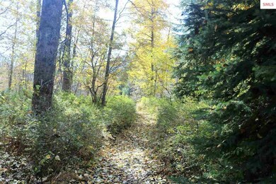 0 A St unit 20210121, Sandpoint, ID 83864 - photo 6